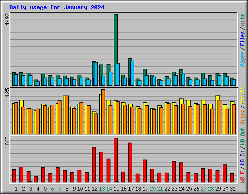 Daily usage for January 2024