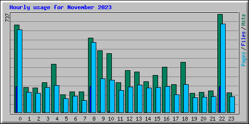 Hourly usage for November 2023