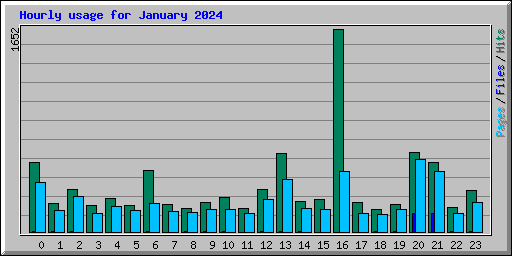 Hourly usage for January 2024